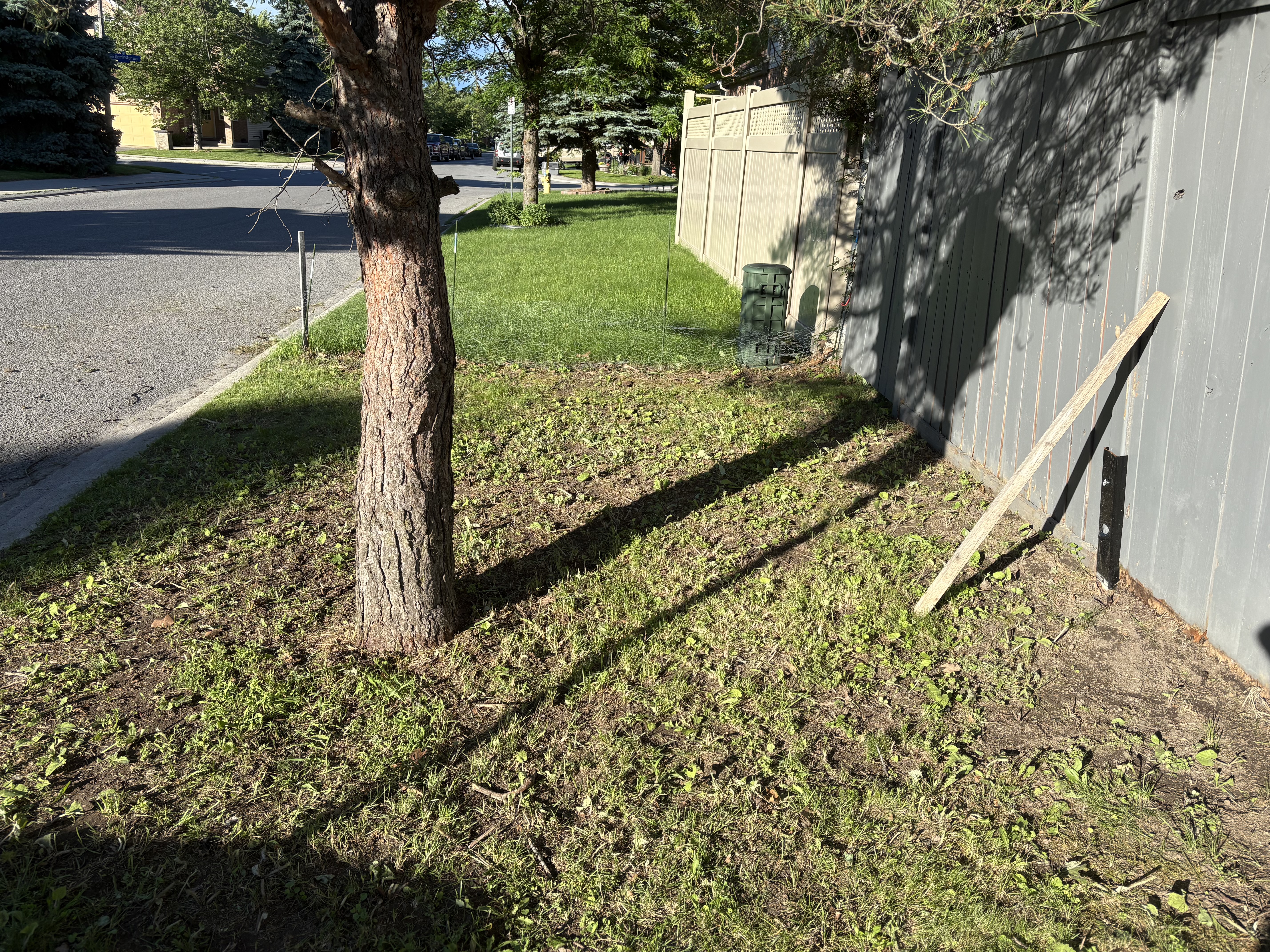 After - fence line