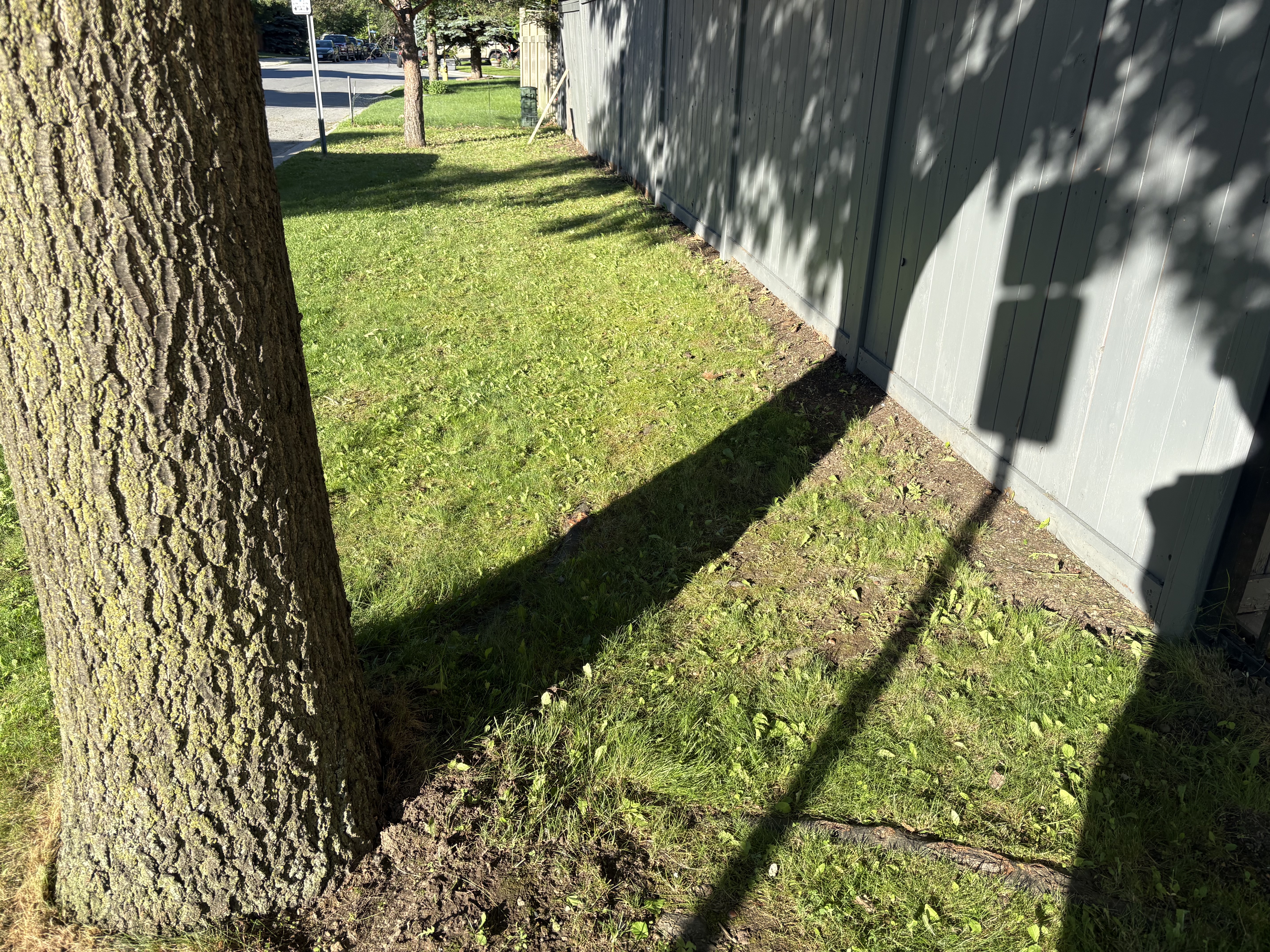 After - fence area