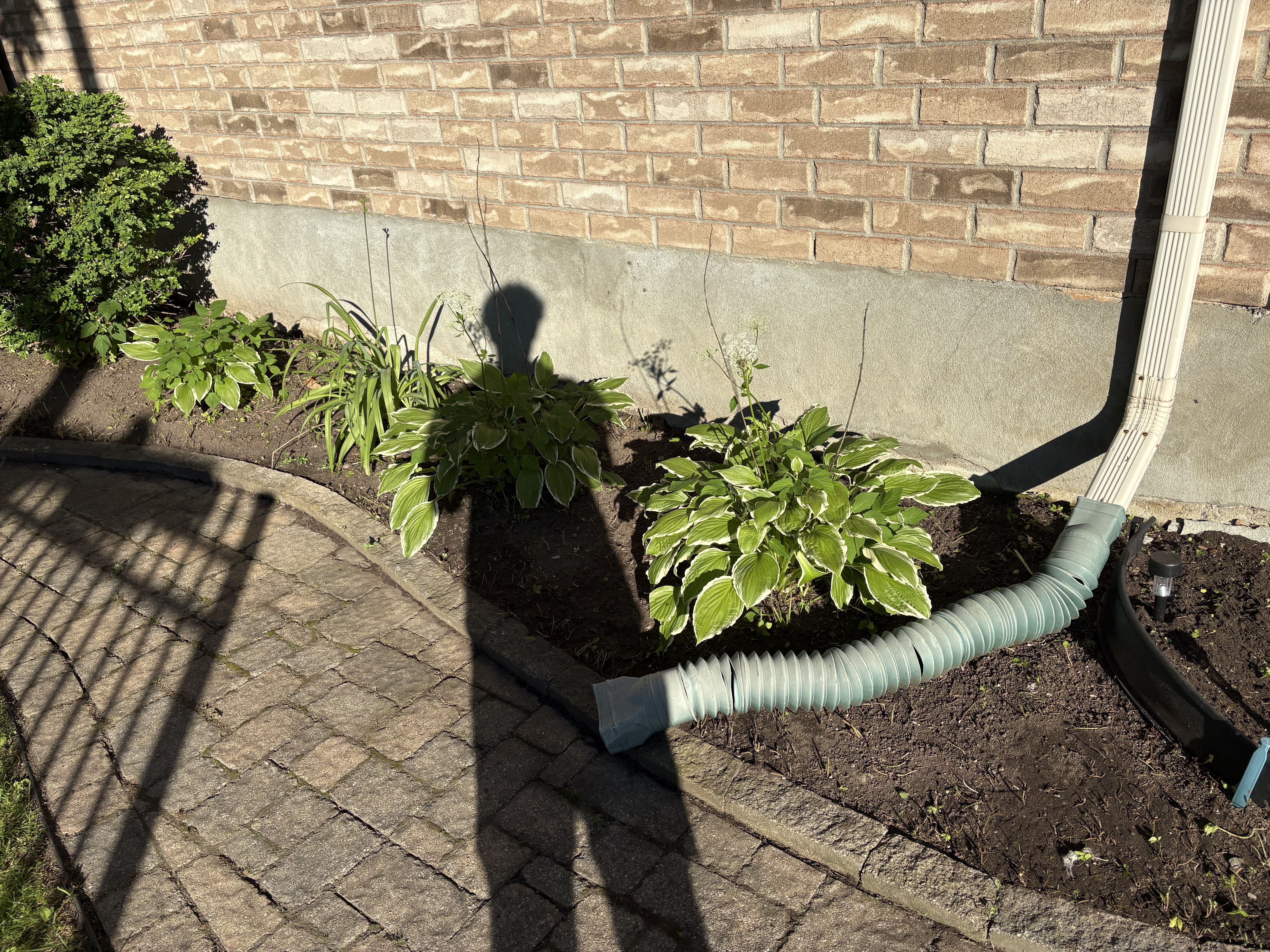 After - garden bed