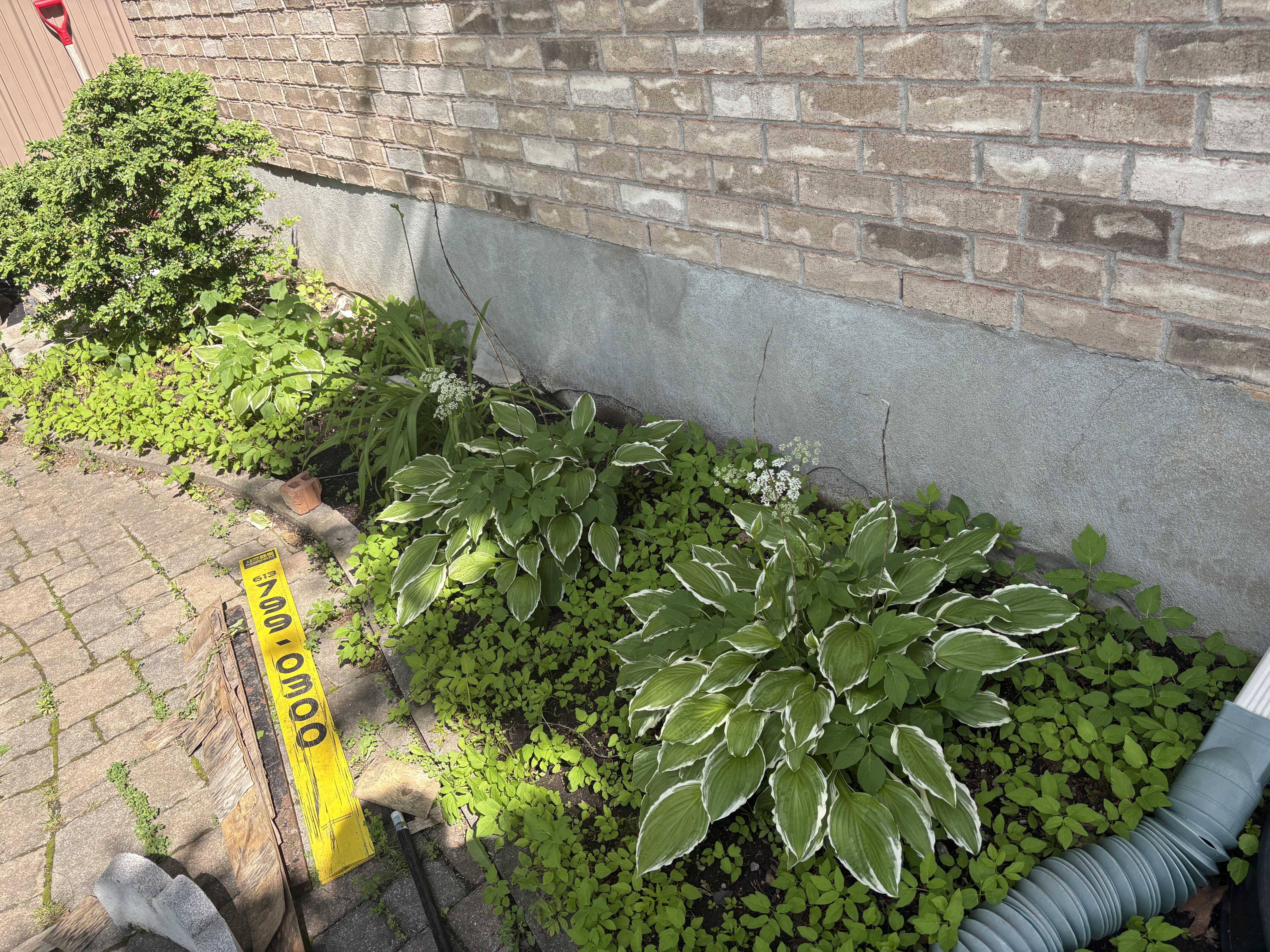 Before - garden bed
