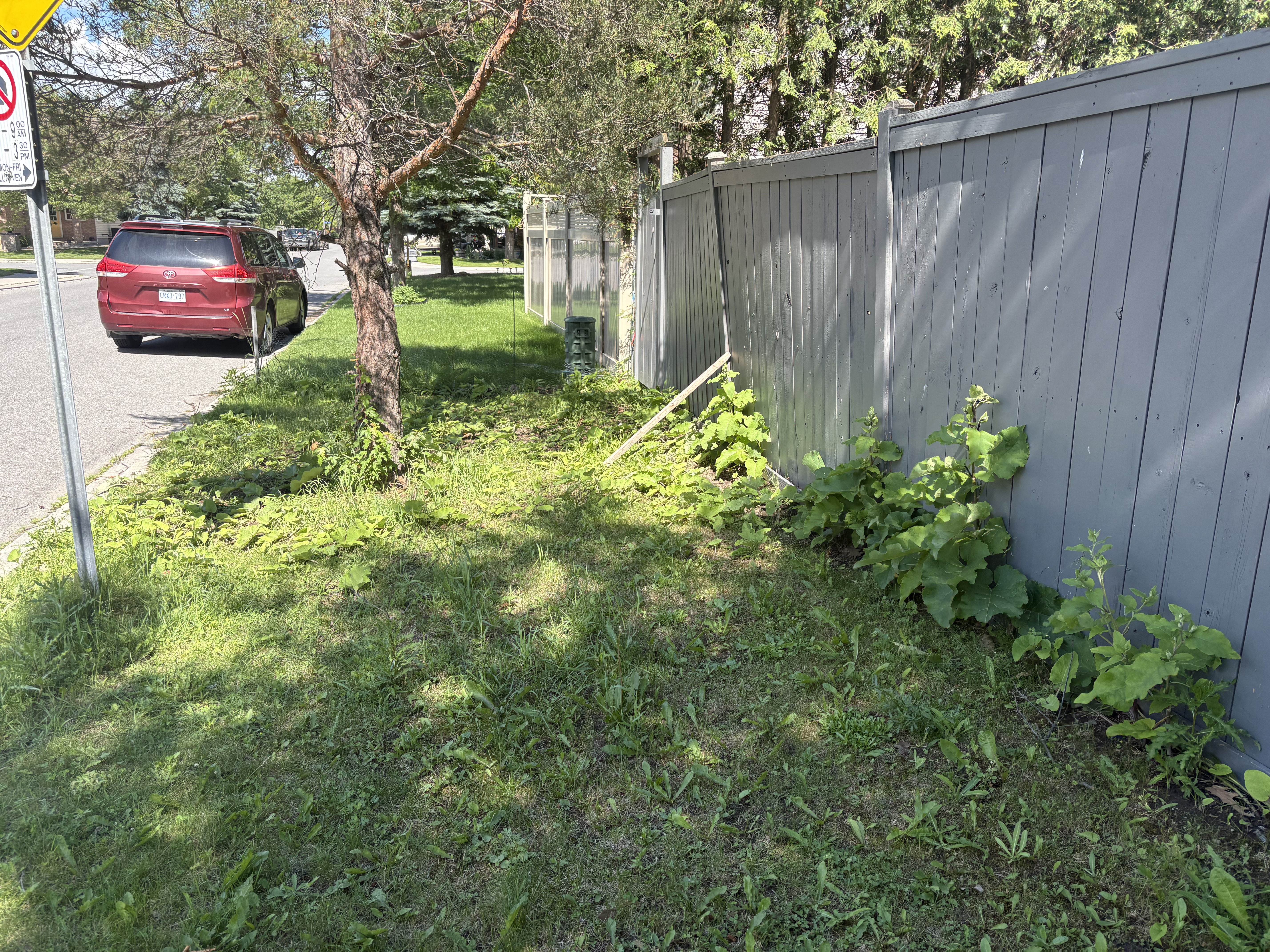 Before - fence line
