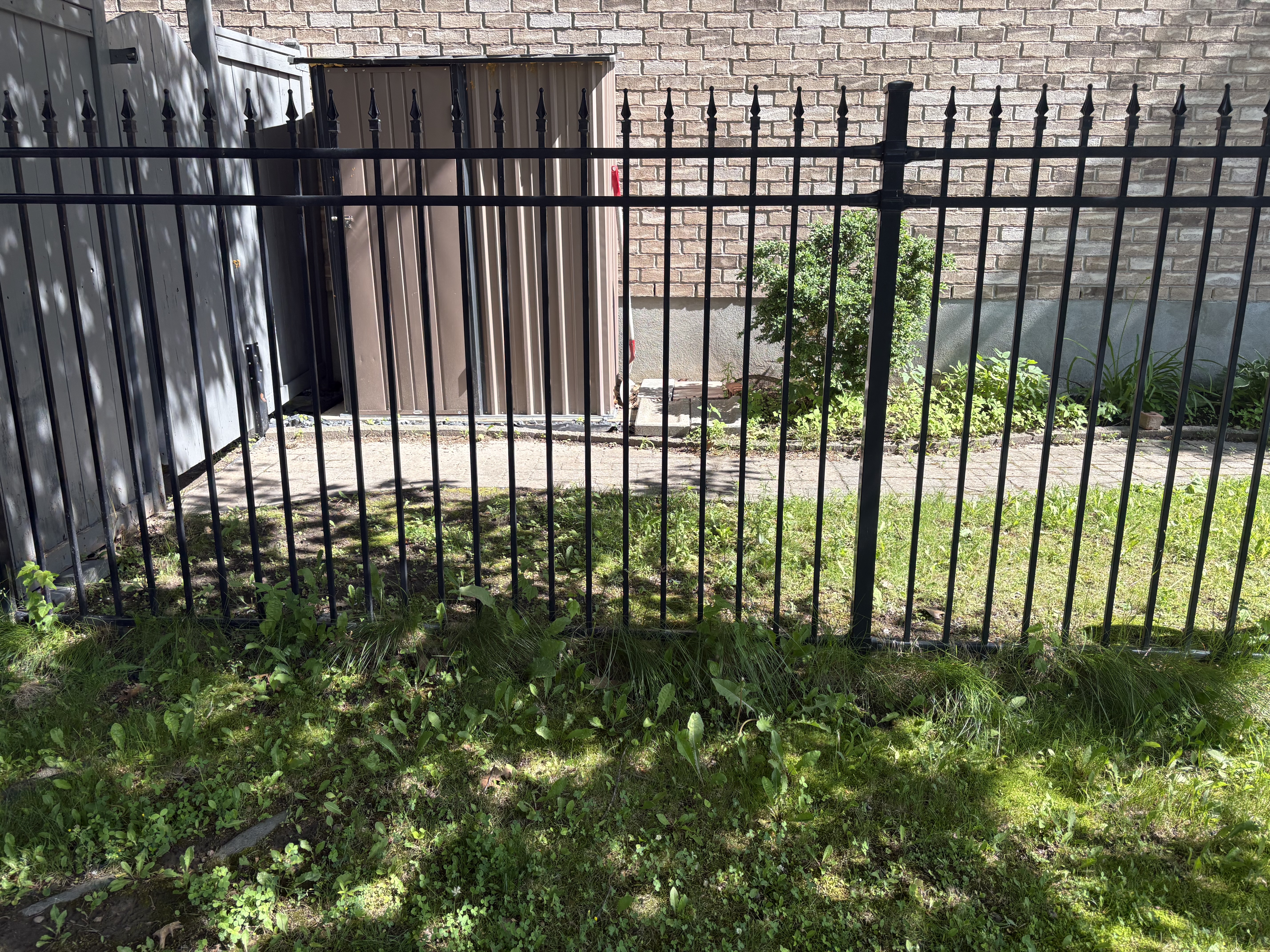 Before - fence area