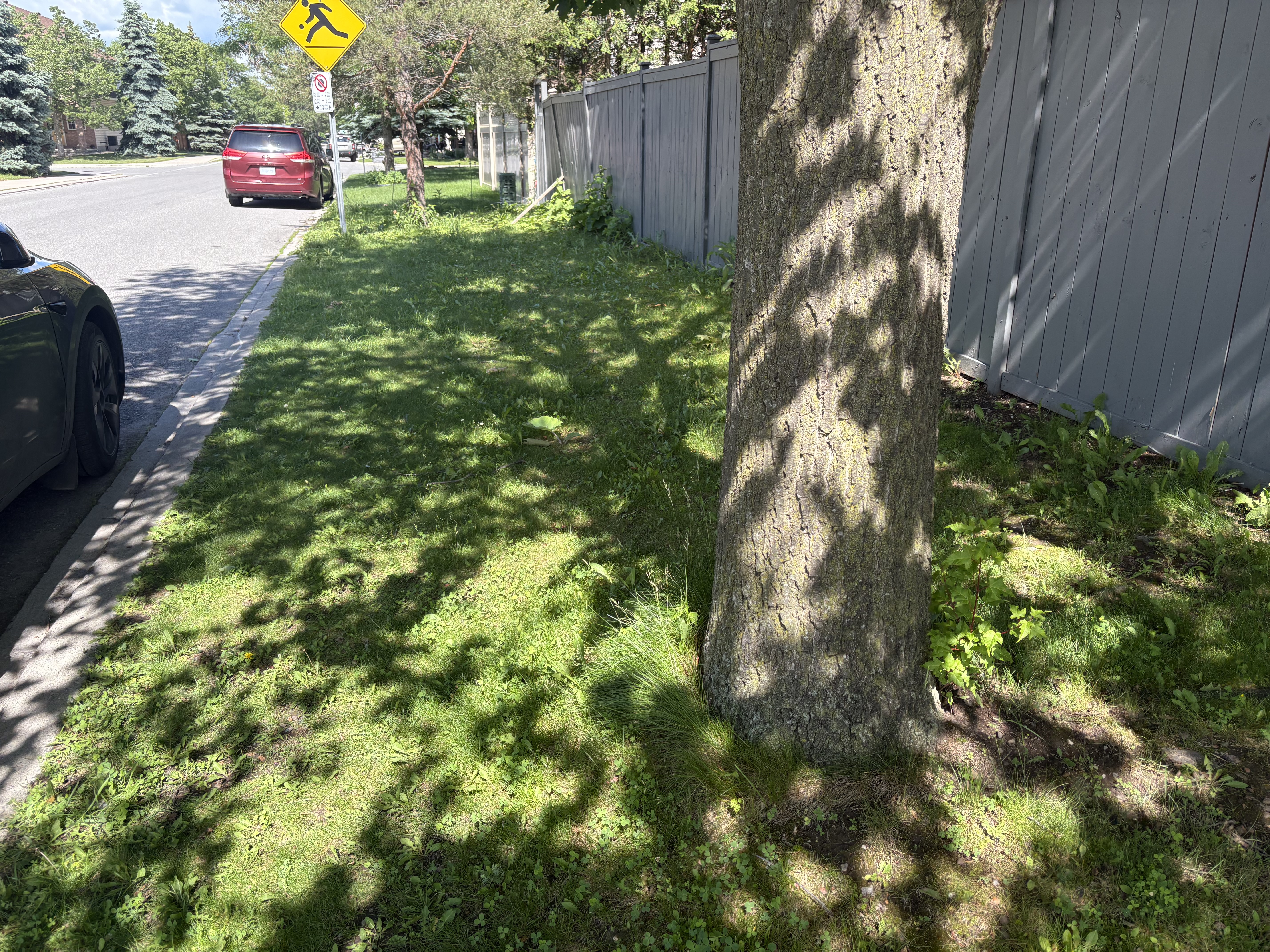 Before - iron fence